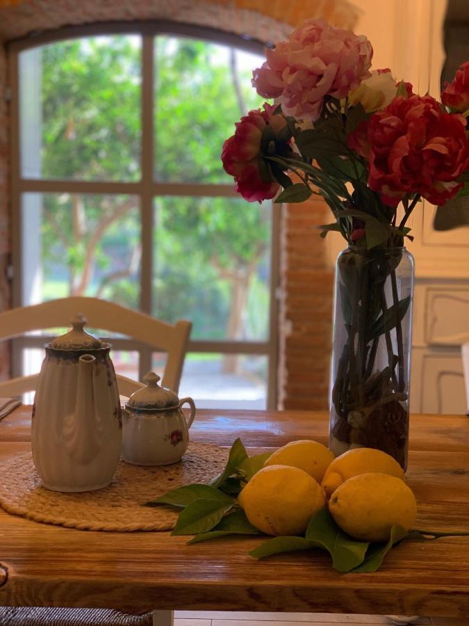 Il Giardino Dei Limoni Bed & Breakfast Suvereto Ngoại thất bức ảnh